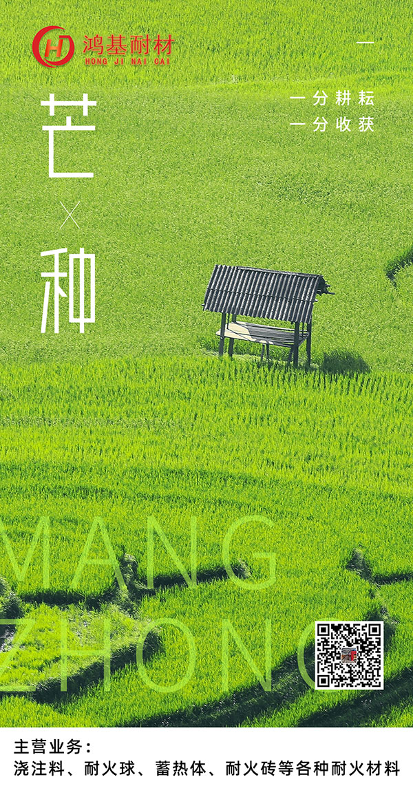 今日芒種！一份耕耘，一份收獲